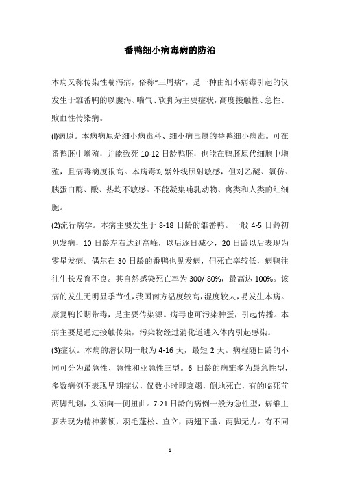番鸭细小病毒病的防治