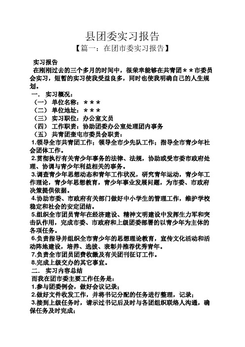 工作报告之县团委实习报告