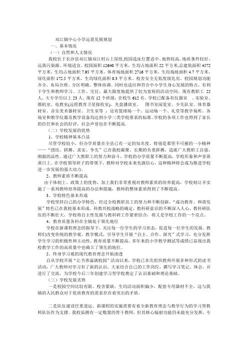 双江镇中心小学远景发展规划剖析