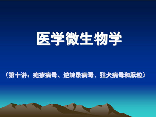 疱疹病毒、逆转录病毒、其它病毒