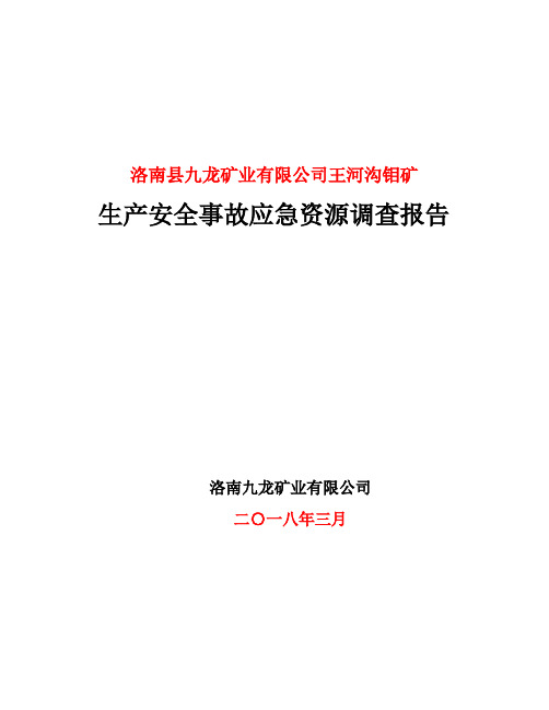 生产安全事故应急资源调查报告