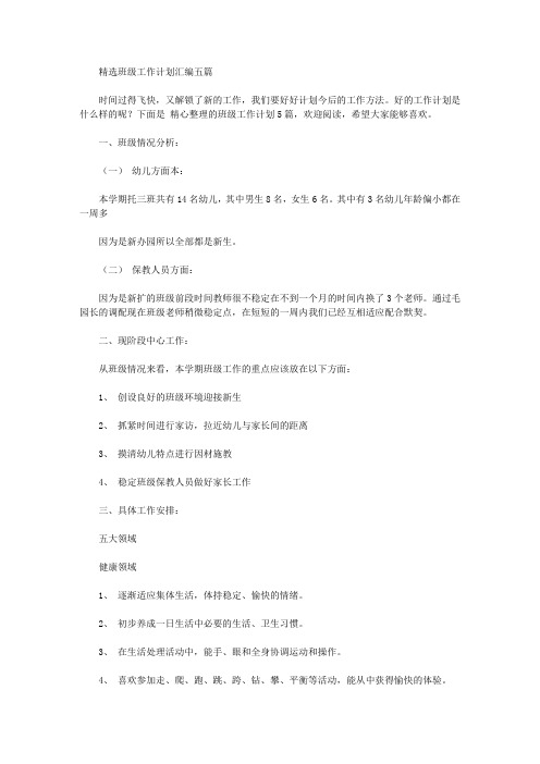 2020年精选班级工作计划汇编五篇