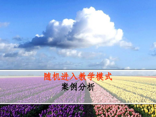 随机进入式教学案例