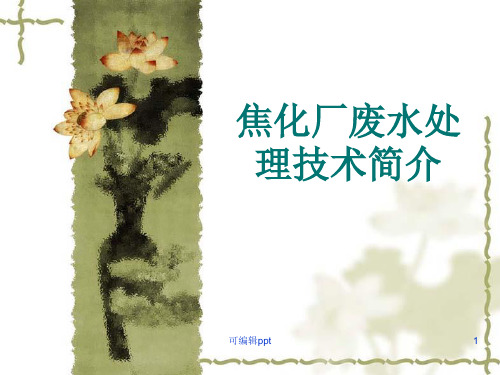 焦化厂废水处理技术简介