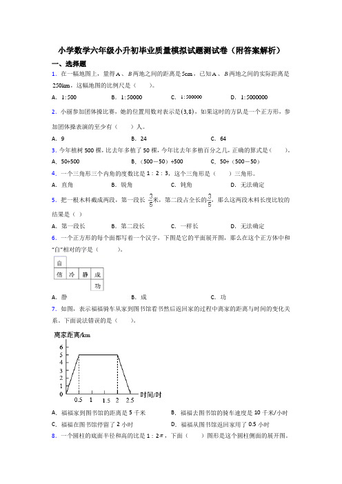 小学数学六年级小升初毕业质量模拟试题测试卷(附答案解析)