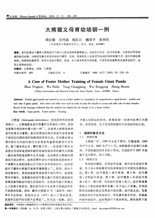 大熊猫义母育幼培驯一例