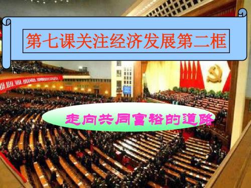 九年级政治走向共同富裕的道路