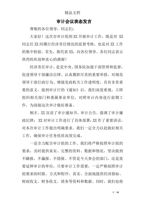 审计会议表态发言