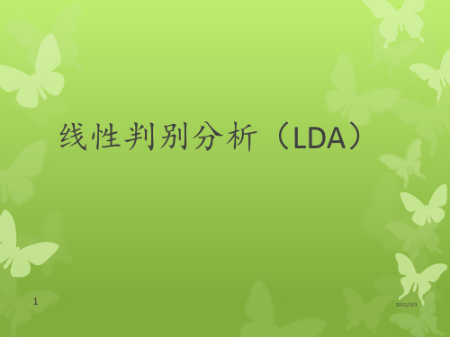 《线性判别分析LDA》PPT课件