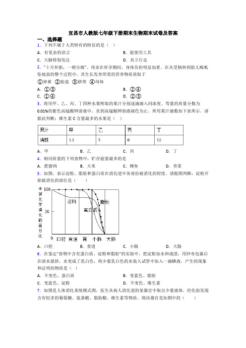 宜昌市人教版七年级下册期末生物期末试卷及答案