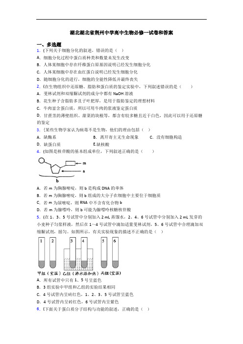 湖北湖北省荆州中学高中生物必修一试卷和答案
