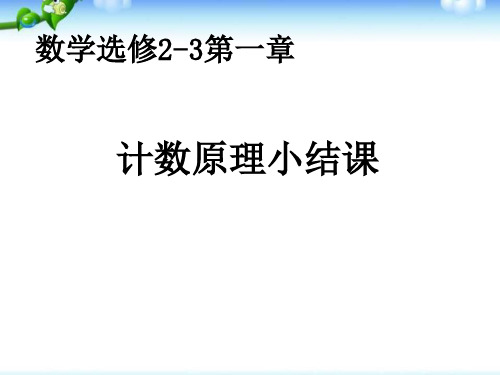 计数原理 小结课课件(新人教A版选修2-3)