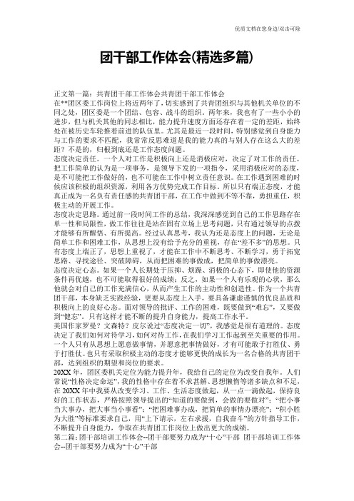 团干部工作体会(精选多篇)