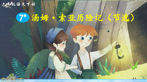 部编版六年级语文下册第7课《汤姆.索亚历险记》优质PPT课件