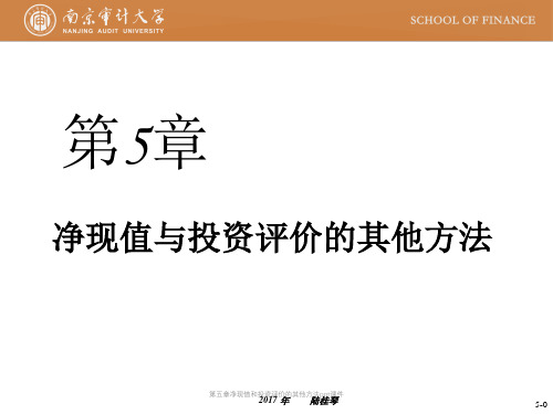 第五章净现值和投资评价的其他方法ppt课件