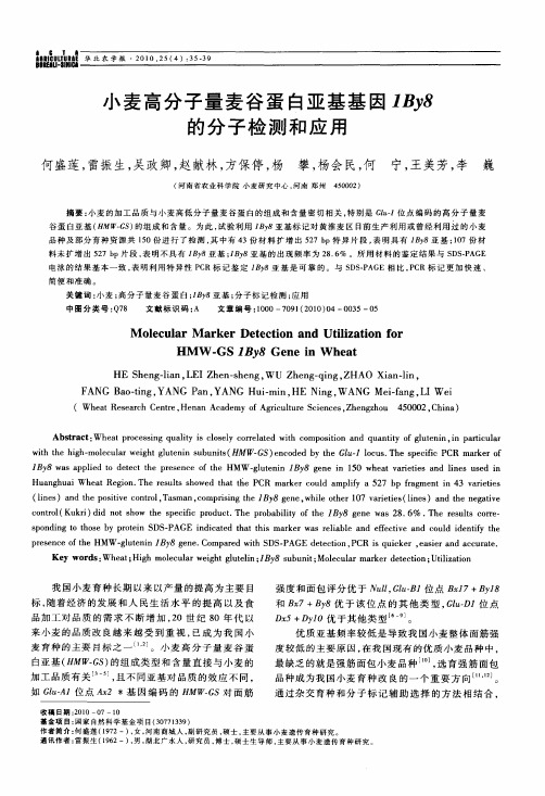 小麦高分子量麦谷蛋白亚基基因1By8的分子检测和应用