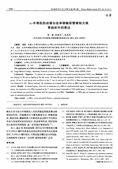 α-平滑肌肌动蛋白在单侧输尿管梗阻大鼠肾组织中的表达