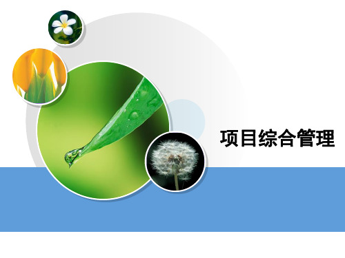 工程项目综合管理讲解(PPT)
