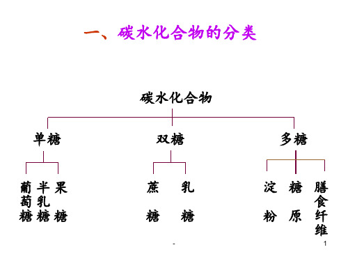 第三节碳水化合物1PPT课件