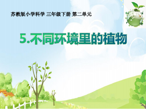 新苏教版三年级科学下册第二单元《不同环境里的植物》优质PPT课件