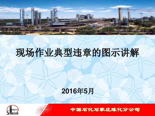 典型违章的讲解