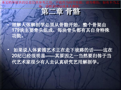 艺用人体解剖培训课件