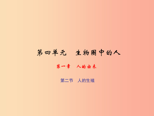 七年级生物下册第四单元第一章第二节人的生殖习题课件 新人教版PPT