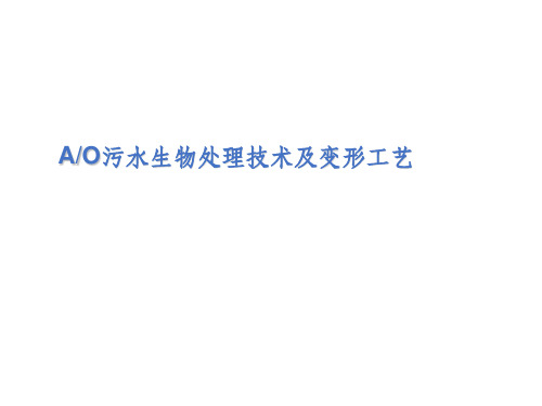 ao处理工艺ppt课件