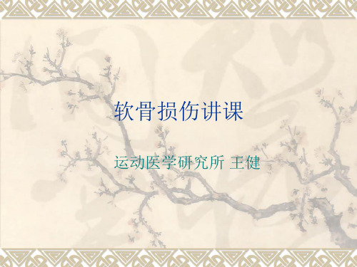 软骨损伤讲课参考PPT