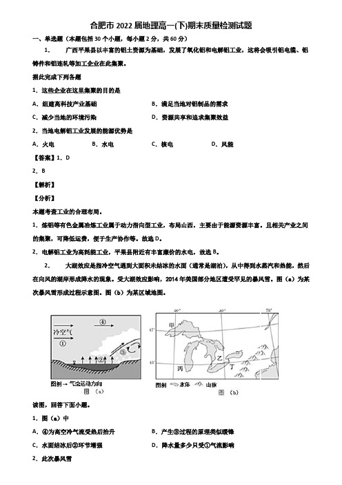 合肥市2022届地理高一(下)期末质量检测试题含解析