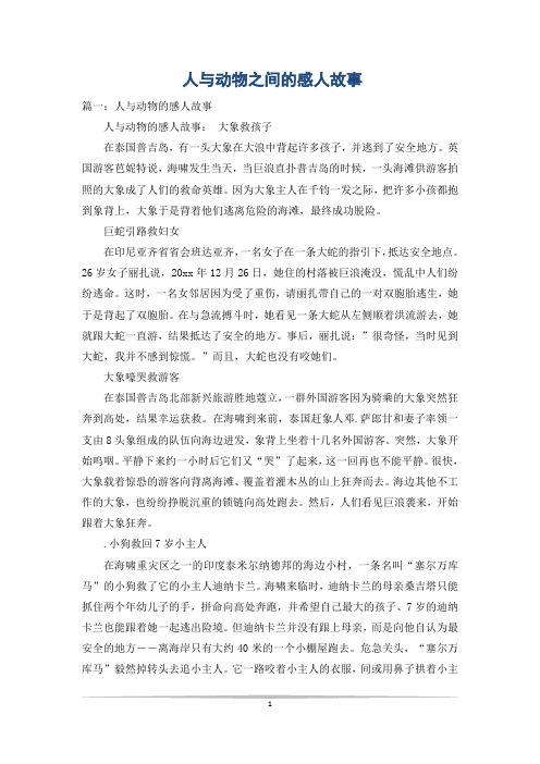 人与动物之间的感人故事