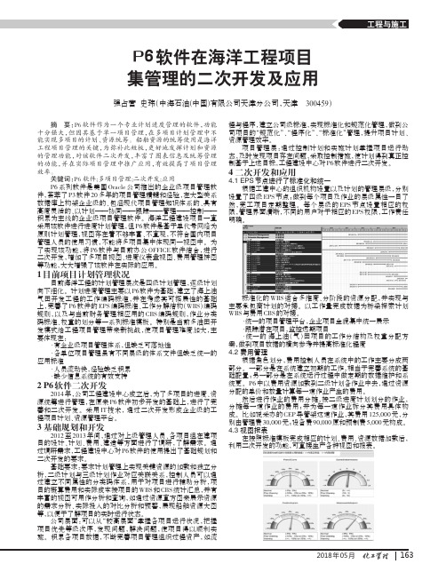 P6软件在海洋工程项目集管理的二次开发及应用