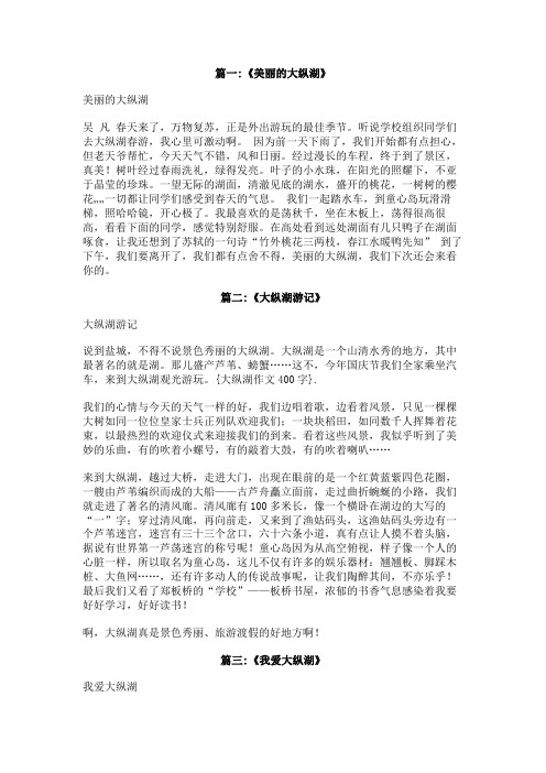 大纵湖作文400字