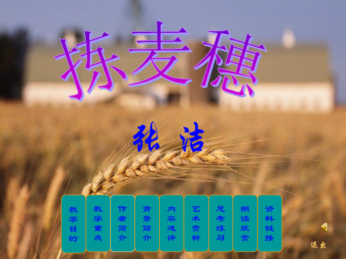 大学语文PPT 拣麦穗