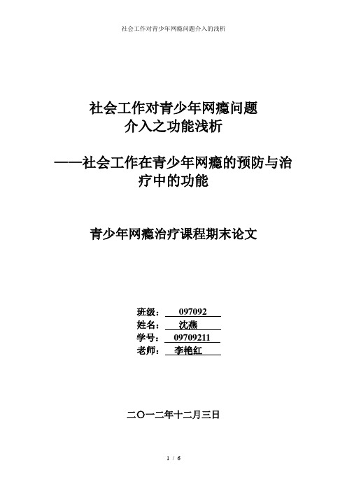 社会工作对青少年网瘾问题介入的浅析