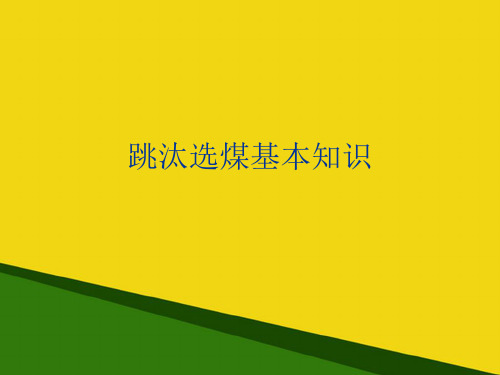 跳汰选煤基本知识推荐PPT资料