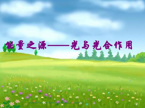 人教版教学课件能量之源——光与光合作