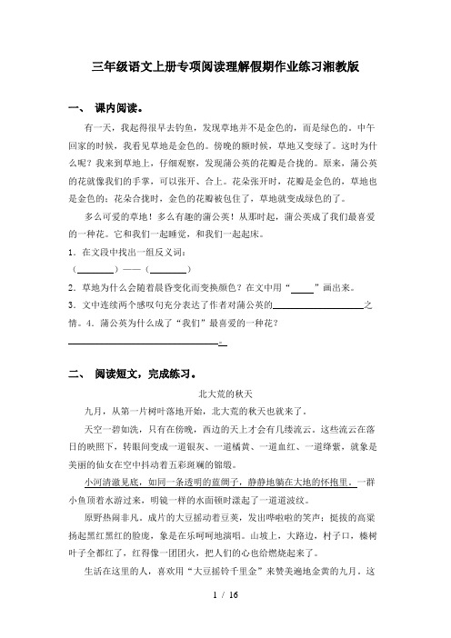 三年级语文上册专项阅读理解假期作业练习湘教版