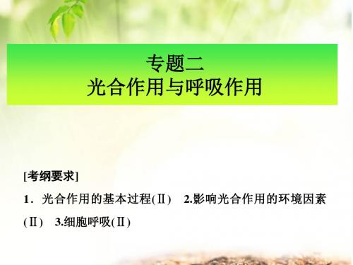 影响光合呼吸的因素及曲线分析课件