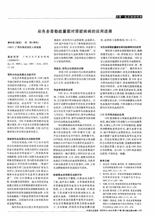 彩色多普勒能量图对肾脏疾病的应用进展
