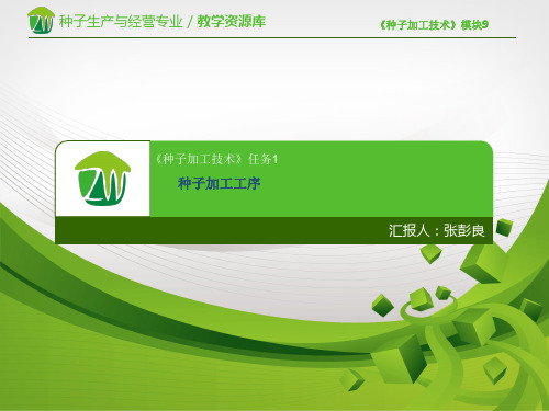 种子加工基本工序