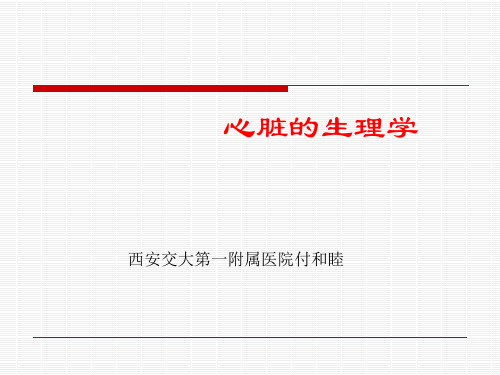 心脏生理学