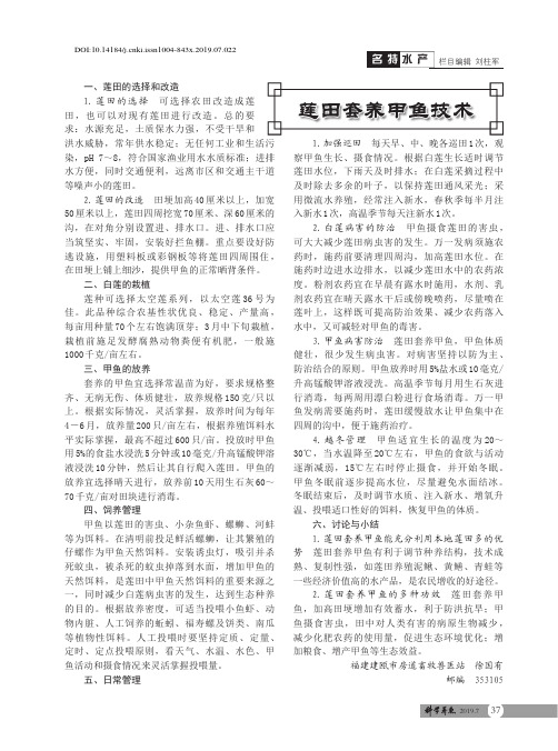 莲田套养甲鱼技术