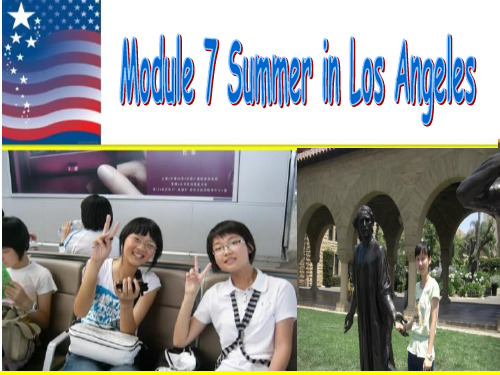 外研版八年级下册Module 7 Summer in Los Angeles(共19张PPT).pptx