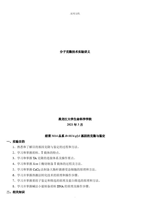 分子克隆技术实验讲义(最终版)