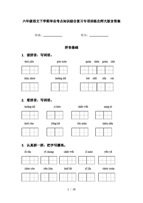 六年级语文下学期毕业考点知识综合复习专项训练北师大版含答案