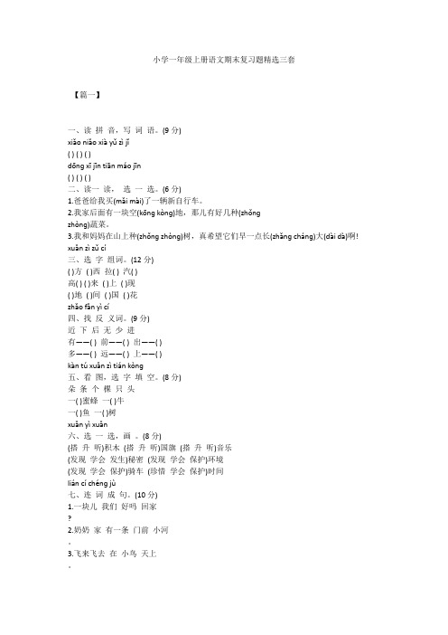 小学一年级上册语文期末复习题精选三套