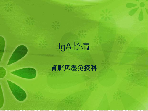 IgA肾病ppt课件