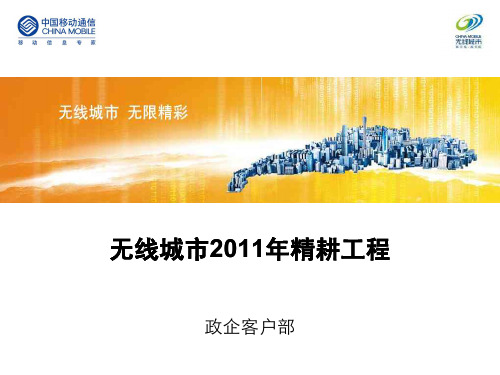 中国移动无线城市工作规划
