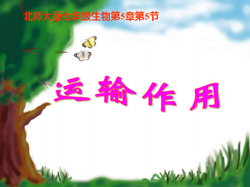 北师大版生物七上5.5《运输作用》 课件(共23张PPT)